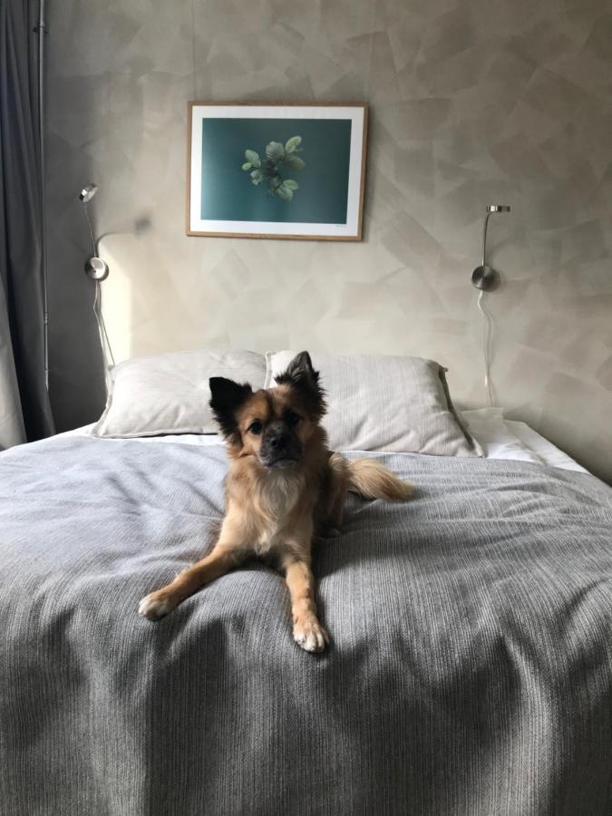 Noli Soernaeinen Hotel Helsinki Ngoại thất bức ảnh